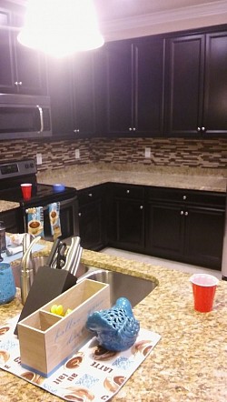 Beautiful new backsplash